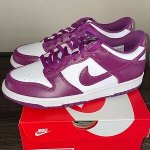Nike Dunks (6.5y/8w) NWT